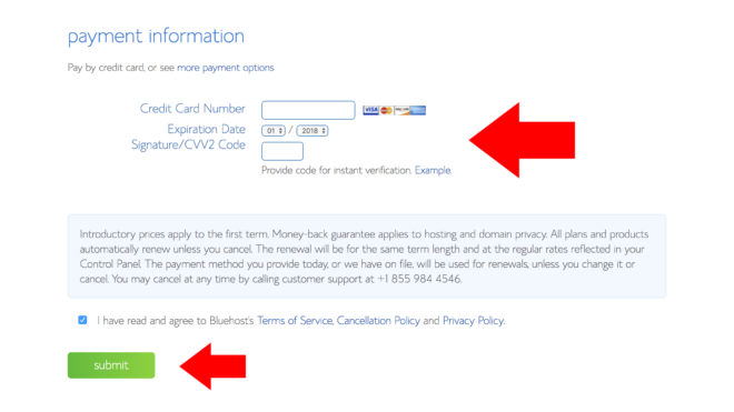 bluehost-art-blog-payment-info